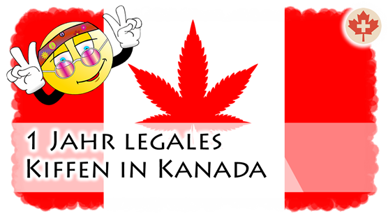 1 Jahr Cannabis-Legalisierung in Kanada - Ob wir kiffen auch erlauben sollten?
