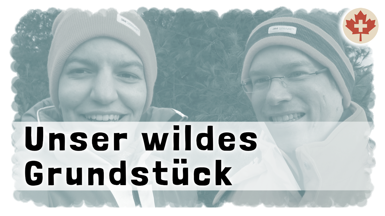 Unser wildes Grundstück - Komm mit uns auf einen Rundgang über unser Grundstück in Nova Scotia